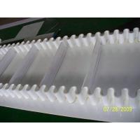 Quality Sidewall conveyor belt for food industry from China factory for free samples for sale