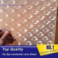China PLASTIC LENTICULAR Micro lens film fly eye lenticular 360 degree 3d effects for sale