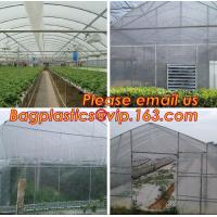 China 100% new LDPE green house plastic clear covering film,anti drip tomato Hydroponics agricultural plastic film for sale
