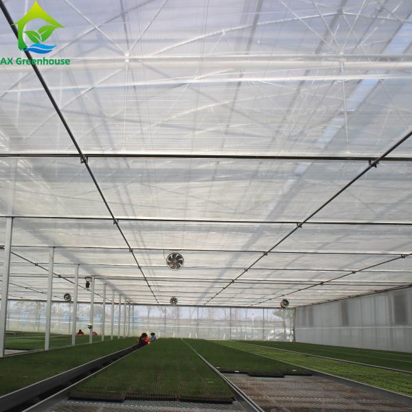 Quality Multispan 4 Season Plastic Film Insect Net Greenhouse For Cucumbers for sale