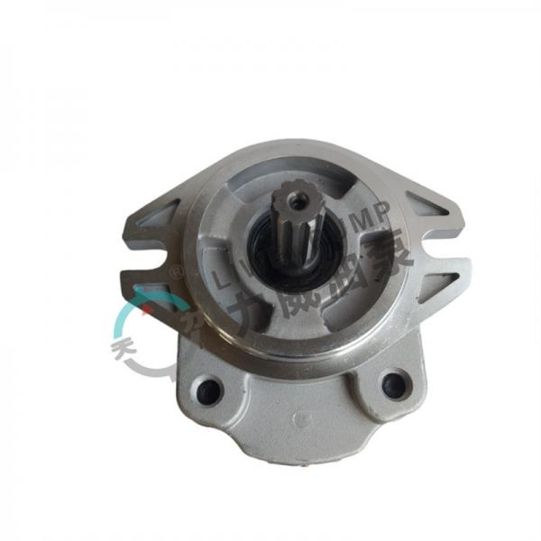 Quality 4D95S Forklift Hydraulic Overload Pump Cast Iron Gear Pump 37B-1KB-2020 for sale