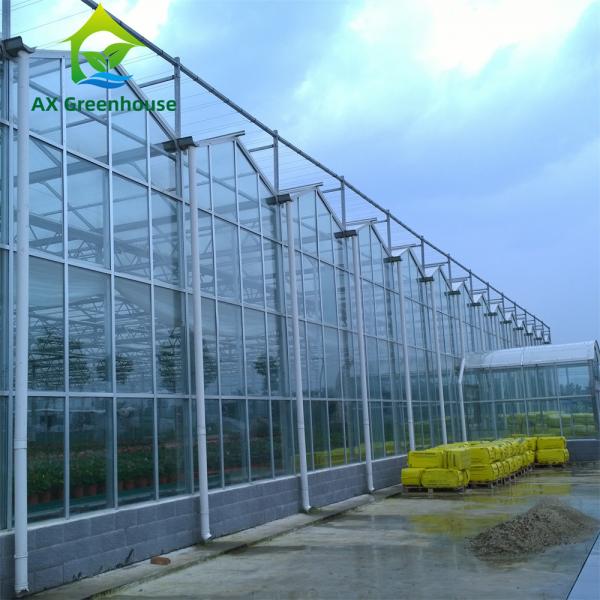 Quality Triangle Roof Agricultural Glass Greenhouse 9.6m Width Winter Lettuce Greenhouse for sale
