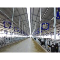 China Terrui Poultry House Livestock Circulation Fans 1.2m With APP Control factory
