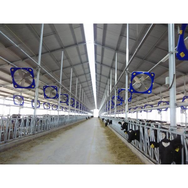 Quality Terrui Poultry House Livestock Circulation Fans 1.2m With APP Control for sale