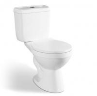 China Hot Sale Bathroom Ceramic Toilet 300mm Roughing-in Siphonic Two-piece Toilet factory