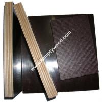 China Anti Slip Marine Plywood / Anti-Slip Film Faced Plywood /One side anti slip film faced plywood factory