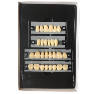 Quality Clear Dental Acrylic Resin Kit Teeth Synthetic 2 Layers Dent Resin Teeth for sale