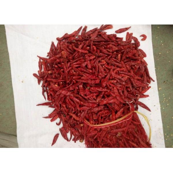 Quality Sterilized Dried Red Chilli Peppers 4cm Asian Dried Chili Peppers HACCP for sale
