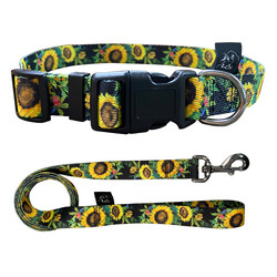 Quality Small Medium Large Classic Dog Collar With Quick Release Buckle for sale