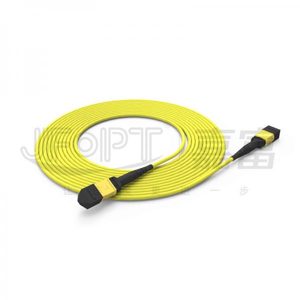 Quality Low Loss MPO-MPO Fiber Optic Trunk Cable 6 Core 8 Core Single Mode OS2 LSZH Yellow for sale