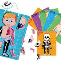 China Educational Human Body Puzzle Anatomy Toys Logical Thinking Gifts For Preschoolers for sale