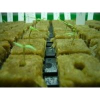 Quality Hydroponic Rockwool Grow Cubes for sale