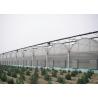China Hot Galvanized Frame Dome Lettuces Plastic Cover Greenhouse factory