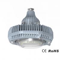 China CE Certified 30W 45W 60W Manufacturing Plant Lighting Industrial Floodlight Led factory