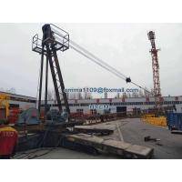 China Small QD1515 Roof Crane 3000kg Load to Remove Inner Potain Tower Cranes factory