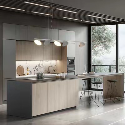 Quality Back Restaurant Kitchen Cabinets Modern Hotel Integrated Kitchen Unit for sale