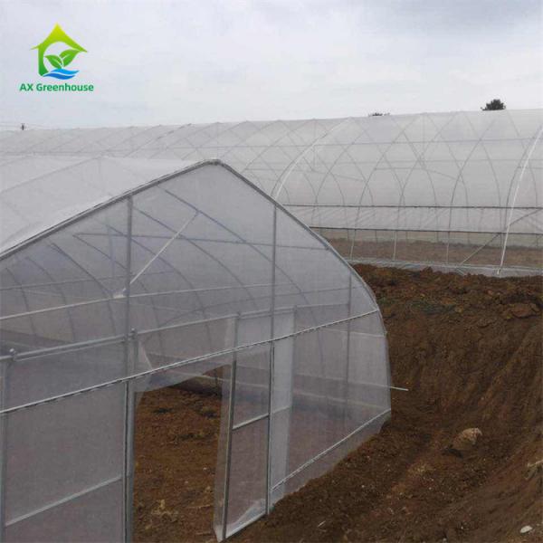 Quality Serre Gothique 240m2 Poly Tunnel Greenhouse Economical Gothic Arch Greenhouse for sale
