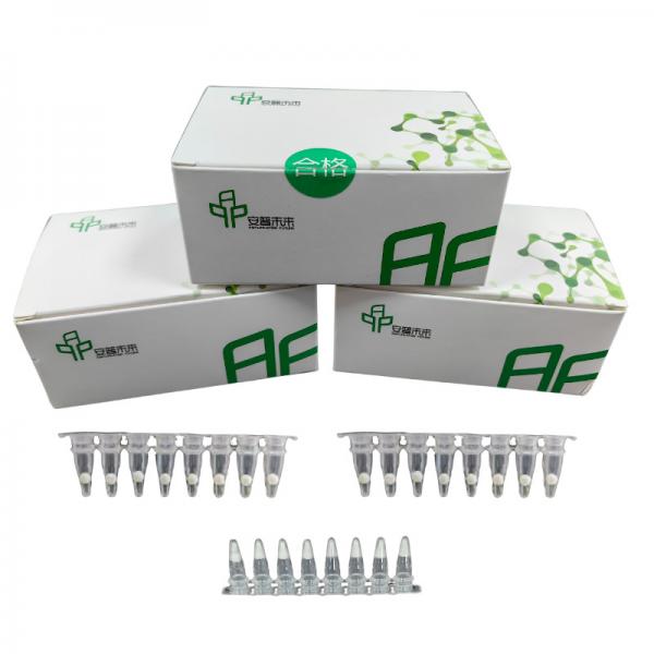 Quality 20mins High Sensitivity Isothermal DNA Amplification Kit For Accurate Detection for sale