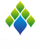 China Shenzhen Taiqiang Investment Holding Co., Ltd logo