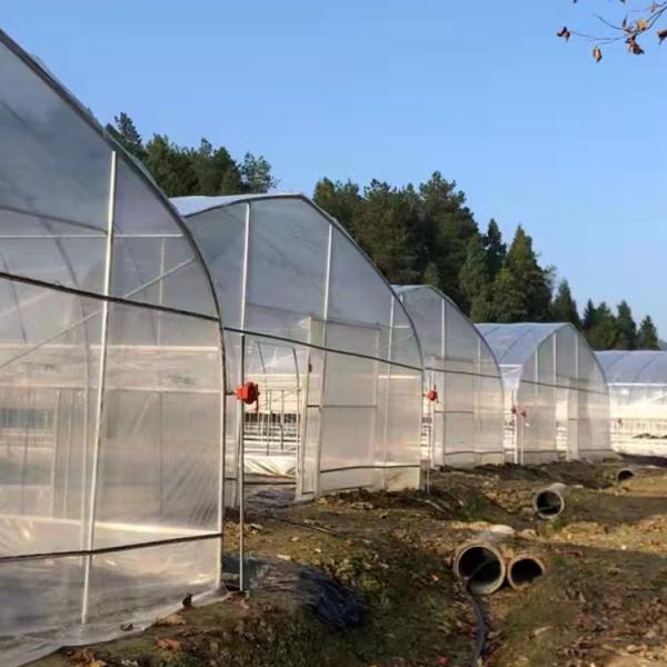 Quality Arch Pipes Reinforced Commercial Polyethylene Film Greenhouse for sale