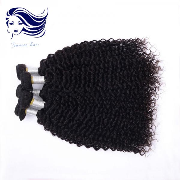 Quality Tangle Free Grade 6A Virgin Hair Bundles Kinky Curly Double Drawn for sale