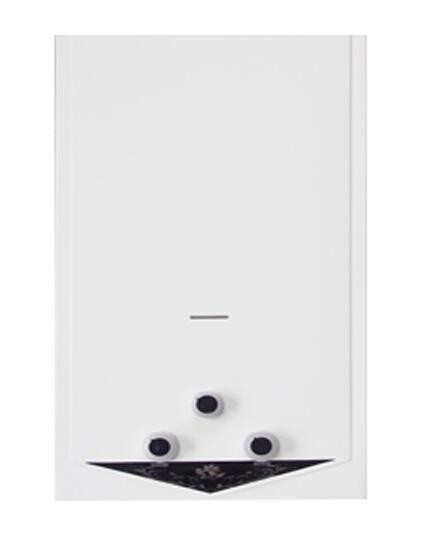 Quality Low Pressure Flue Type Instant Gas Water Heater High Reliability For Hot Water Supply for sale