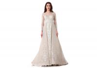 China Embroidery Lace Long Sleeve Ladies Evening Dresses Transparent Back factory