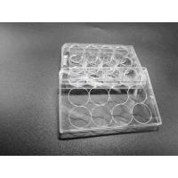 China Tissue Culture Treatment 12 Well Plate Standard Packing Cell Culture Consumables factory