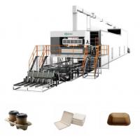 China Paper Fruit Tray Making Machine Thermoforming Egg Tray Production Machine factory