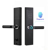 China Security Biometric Smart Fingerprint Door Lock Aluminum Alloy For Front Door for sale