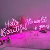 China Exquisite Workmanship Acrylic Word Signs Plastic Neon Sign For Holiday factory