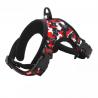 China Pet Baby Dog Collars And Harnesses / Safe Dog Walking Collars Lightweight factory