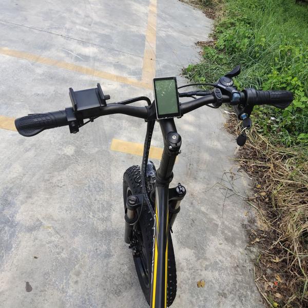 Quality 20" Wheel Folding Electric Mountain Bike 14ah 48v 750w Smooth Riding for sale