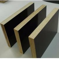 China Shandong Linyi film faced plywood standard size price ,1220x2440mm, 1250x2500mm shuttering plywood factory