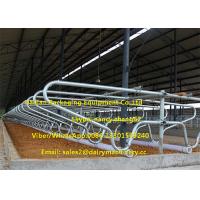 China Cow Farm Customized Dairy Free Stalls Equipment With Heavy Duty Pipe / Tube for sale
