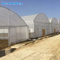 China Agricultural Commercial Industrial Plastic Multi Span Greenhouse For Tomato Planting for sale