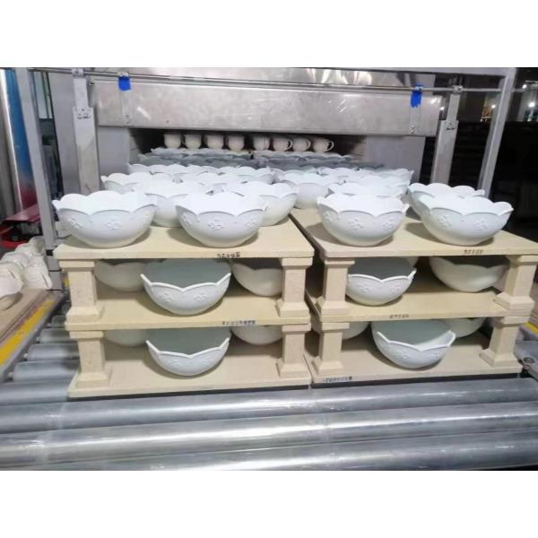Quality Hollow Clay Brick Making Machine Hollow Block Moulding Machine with Roller Kiln for sale