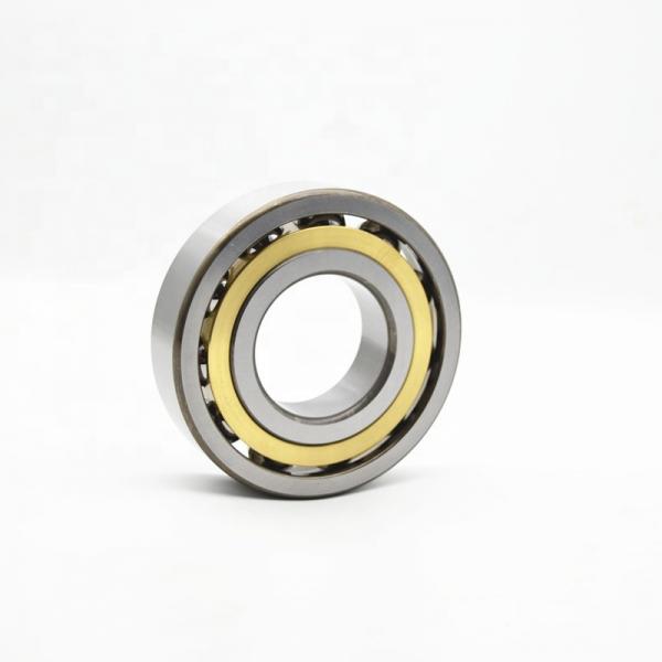 Quality Axial Loads Double Agricultural Bearing Chrome Steel Fixed End Bearings for sale