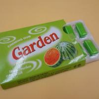 China Garden Long Shape Pop Bubble Gum Chewing Gum Kids Tasty OEM Available factory