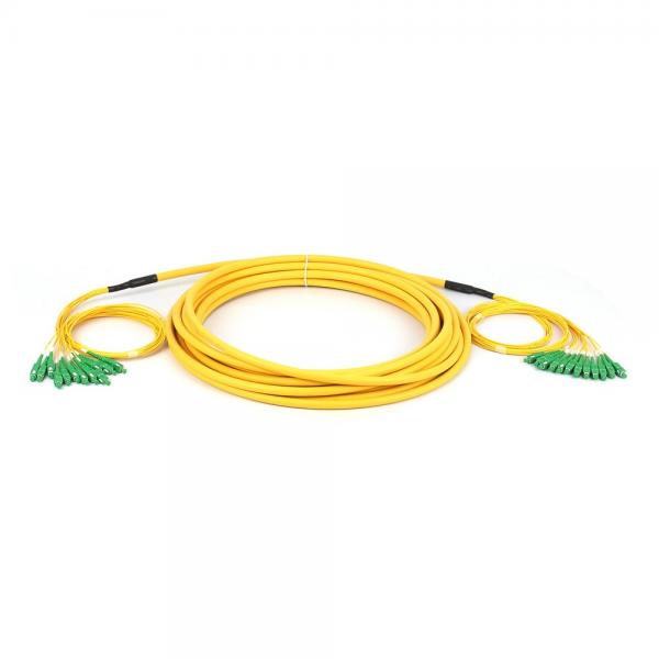 Quality SC/APC - SC/APC Breakout Fiber Cable Singlemode SM 12 Cores Fiber Optic Patchcord for sale