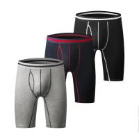 China Athletic Fitness Sportswear Mens Boxer Briefs Underwear Long Leg Compression Running factory