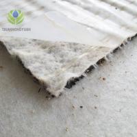 China Waterproofing Bentonite Blanket Geo synthetic Clay Liner for Moisture-proof Function factory