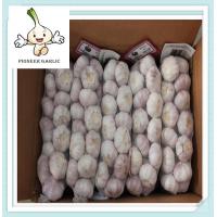 China China Wholesale Garlic Supplier China New Crop Garlic pure white garlic for sale