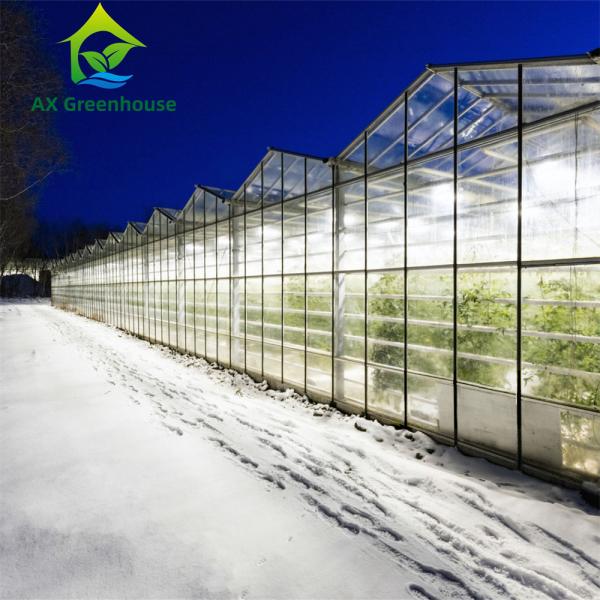 Quality Venlo Winter Glass Tomato Greenhouse for sale