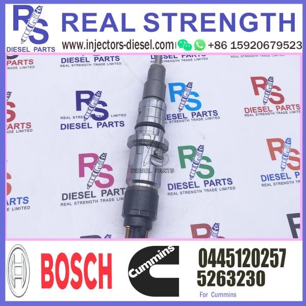 Quality Cummins Machinery Engines Parts ISB ISC ISL Injector 5263230 4994928 045120257 for sale