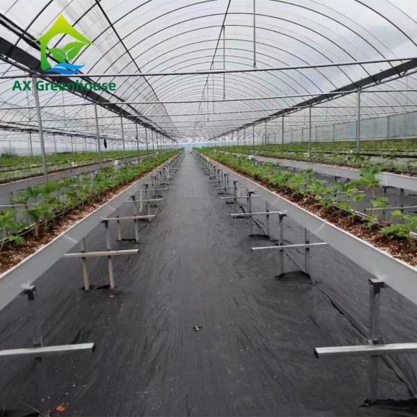 Quality Hot Dip Galvanized Steel Plastic Film Greenhouse 3-8m Gutter Four Seasons for sale