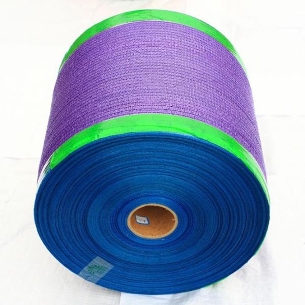 Quality Packing Onion And Other Agricultural Products 54*78cm 28g Dark Green Disposable PE Plastic Raschel Mesh Bag In Roll for sale