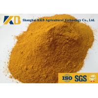 china Dried Feed Powder Corn Gluten Meal Animal Feed For Direct Additive Use