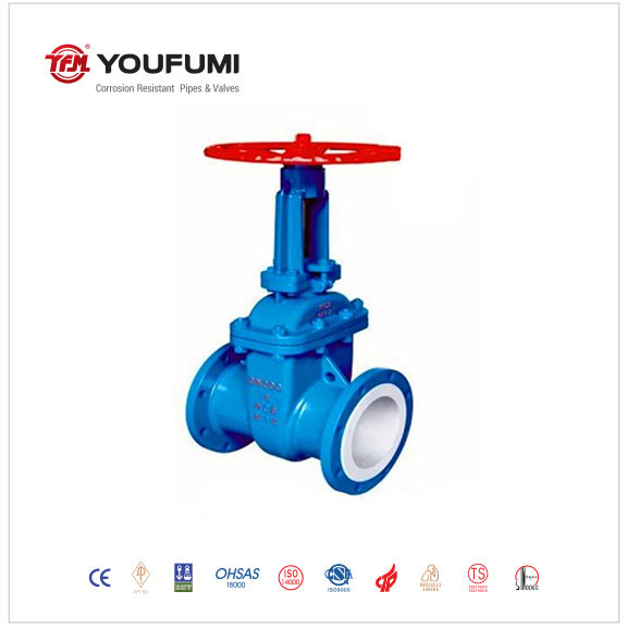 Quality ANSI Double Disc Gate Valve for sale