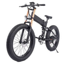 Quality 26 Inch Fat Tire Ridstar Electric Bike for sale